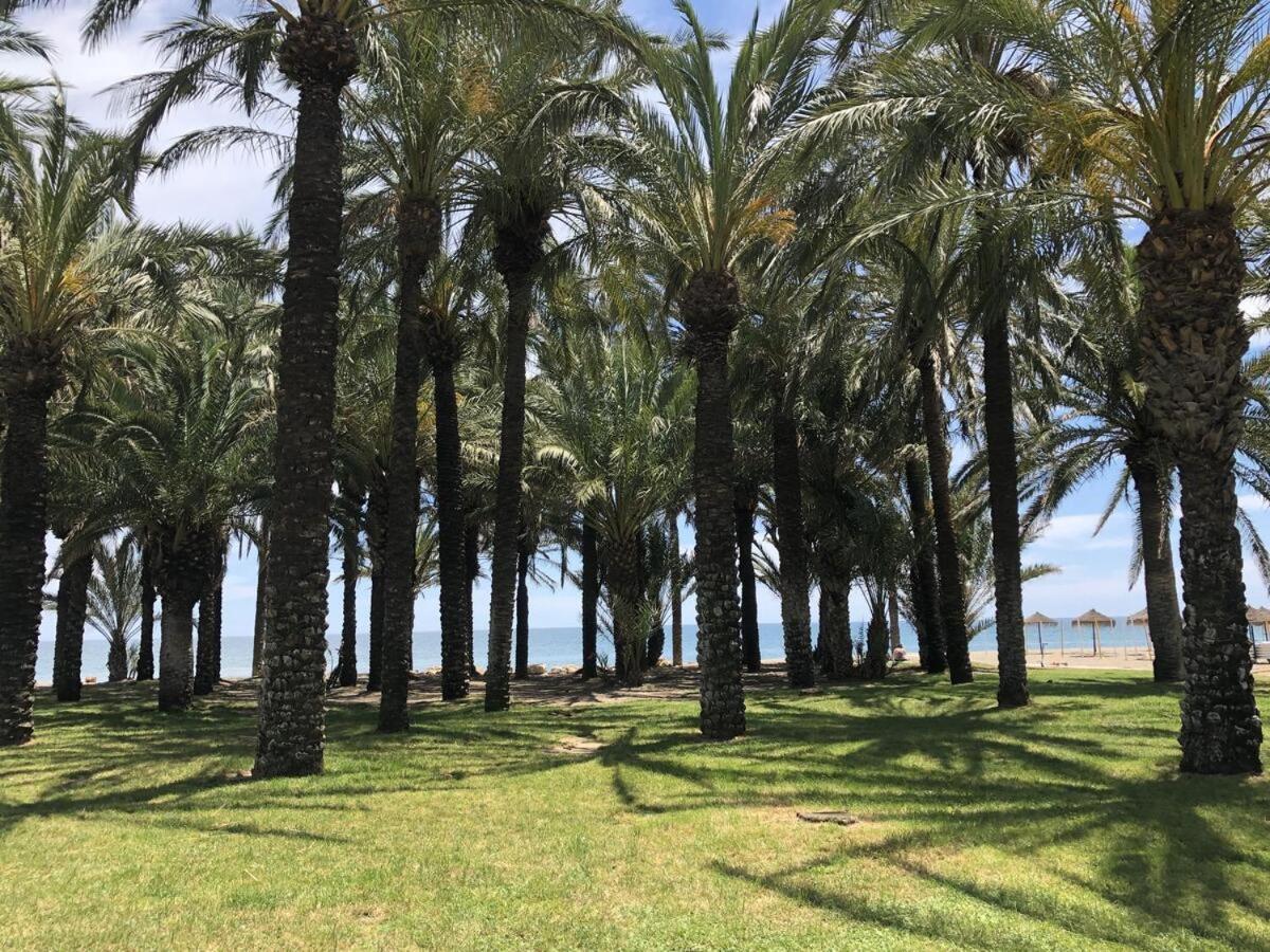 Apartamento El Remo Torremolinos Ngoại thất bức ảnh